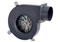 Pelet Fanları
